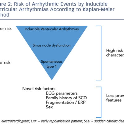 Risk of Arrhythmic Events by Inducible Ventricular Arrhythmias According to Kaplan-Meier Method
