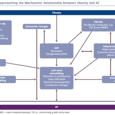 Schematic Representing The Mechanistic Relationship Between Obesity And AF