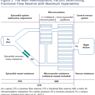 Figure 2 The Main Haemodynamic Factors Determining Fractional Flow Reserve with Maximum Hyperaemia