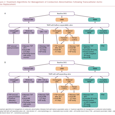 Treatment Algorithms For Management Of Conduction Abnormalities