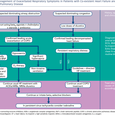 Figure 2 Management of Exacerbated Respiratory Symptoms in Patients with Co-existent Heart Failure and Chronic Obstructive Pulmonary Disease
