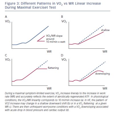 Figure 3 Different Patterns in VO2 vs WR Linear Increase During Maximal Exerciset Test