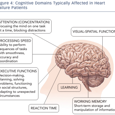 Figure-4-Cognitive-Domains-Typically-affected-in-heart-failure-patients