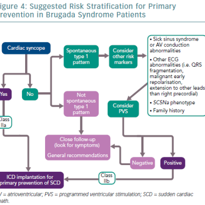 Suggested Risk Stratification For Primary Prevention