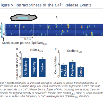 Figure 9 Refractoriness of the Ca2 Release Events