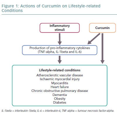 Actions of Curcumin on Lifestyle-related Conditions