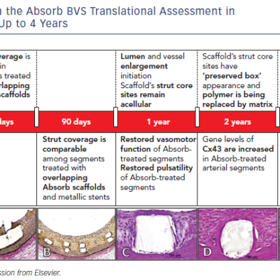 Chronologic Insights From the Absorb BVS Translational Assessment in&ampltbr /&ampgt&amp10Healthy Porcine Coronary Arteries Up to 4 Years