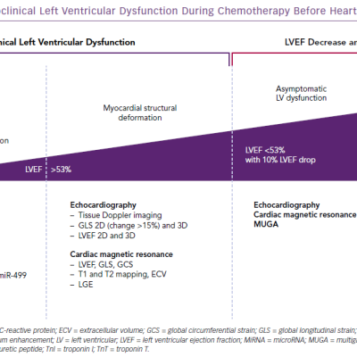 Diagnosing Subclinical Left Ventricular Dysfunction During Chemotherapy Before Heart Failure Occurrence
