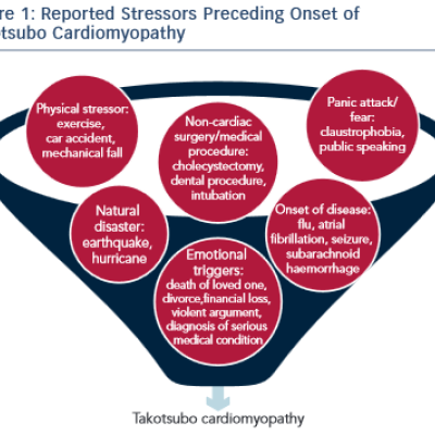 Reported Stressors Preceding Onset of Takotsubo Cardiomyopathy