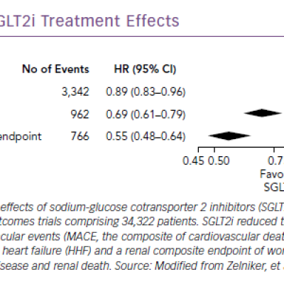 SGLT2i Treatment Effects