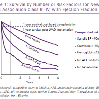 Survival by Number of Risk Factors for New York&ampltbr /&ampgt&amp10Heart Association Class III–IV with Ejection Fraction &amplt40