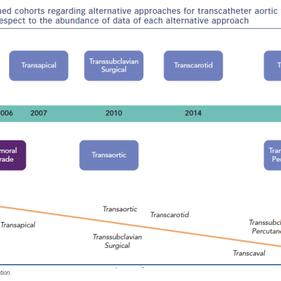 Figure 1 Timing of published cohorts regarding alternative approaches for transcatheter aortic valve implantation and relative experience with respect to the abundance of data of each alternative approach