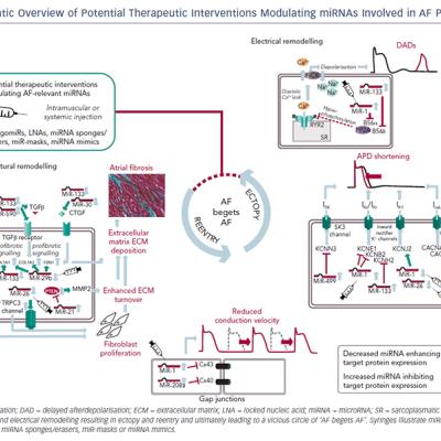 Figure 1 Schematic Overview of Potential Therapeutic Interventions Modulating miRNAs Involved in AF Pathophysiology
