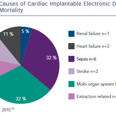 Figure 2 Causes of Cardiac Implantable Electronic Devices Infection Mortality