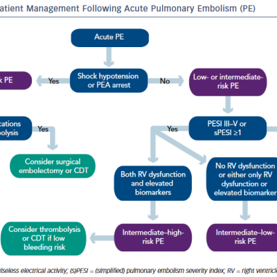 Figure 2 Clinical Approach to Patient Management Following Acute Pulmonary Embolism PE