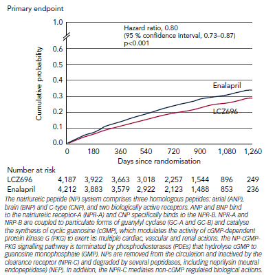 Figure 3 Kaplan-Meier Curve for Primary Study Endpoint of PARADIGM-HF Composite of Death from Cardiovascular Causes or First Hospitalisation for Heart Failure