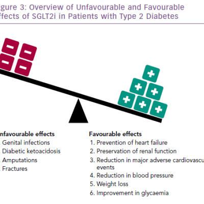 Overview of Unfavourable and Favourable&ampltbr /&ampgt&amp10Effects of SGLT2i in Patients with Type 2 Diabetes