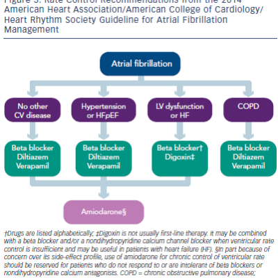 Figure 3 Rate Control Recommendations from the 2014 American Heart Association/American College of Cardiology/ Heart Rhythm Society Guideline for Atrial Fibrillation Management