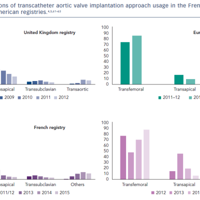Figure 3 Timely variations of transcatheter aortic valve implantation approach usage in the French United Kingdom European and North American registries