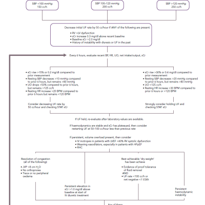 Adjustable Ultrafiltration Guidelines Employed by the AVOID-HF investigators Guidelines for the Adjustment&ampltbr /&ampgt&amp10of Ultrafiltration Therapy