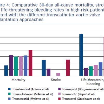 Figure 4 Comparative 30-day all-cause mortality stroke and life-threatening bleeding rates in high-risk patients treated with the different transcatheter aortic valve implantation approaches