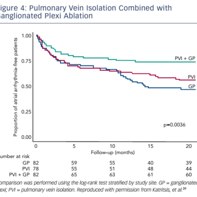 Figure 4 Pulmonary Vein Isolation Combined with Ganglionated Plexi Ablation