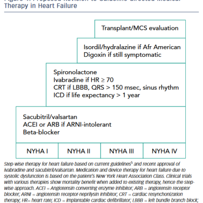 Figure 4 Proposed Revision to Guideline-directed Medical Therapy in Heart Failure