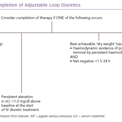 Guidelines for the Completion of Adjustable Loop Diuretics