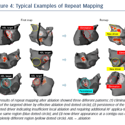 Figure 4 Typical Examples of Repeat Mapping