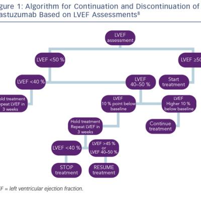 Algorithm for Continuation and Discontinuation of Trastuzumab Based on LVEF Assessments8