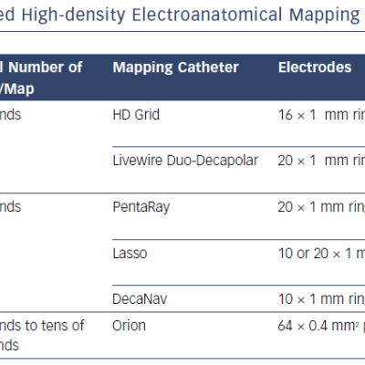 Comparison Of Commonly Used High-Density Electroanatomical Mapping Systems And Catheters