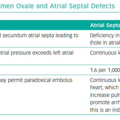 Differences Between Patent Foramen Ovale and Atrial Septal Defects