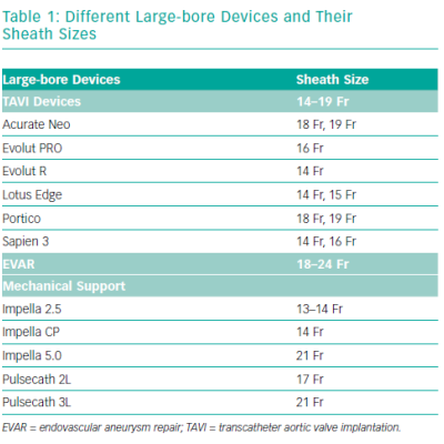 Different Large-bore Devices and Their Sheath Sizes