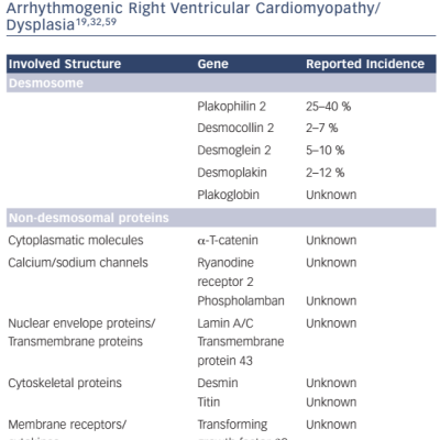 Table 1 Genetic Mutations Associated With Arrhythmogenic Right Ventricular Cardiomyopathy-Dysplasia