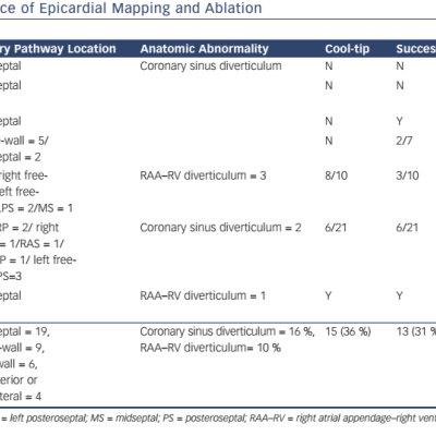 Table 1 Worldwide Experience of Epicardial Mapping and Ablation