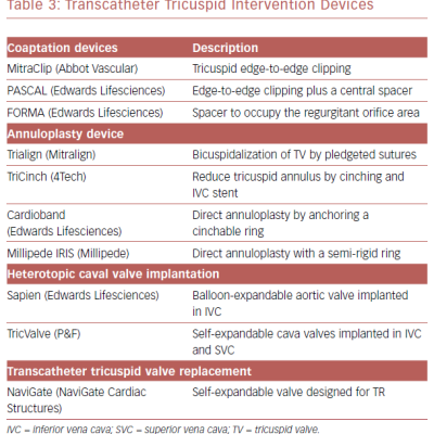 Transcatheter Tricuspid Intervention Devices