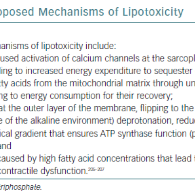 Proposed Mechanisms Of Lipotoxicity