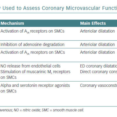 Substances Most Frequently Used to Assess Coronary Microvascular Function
