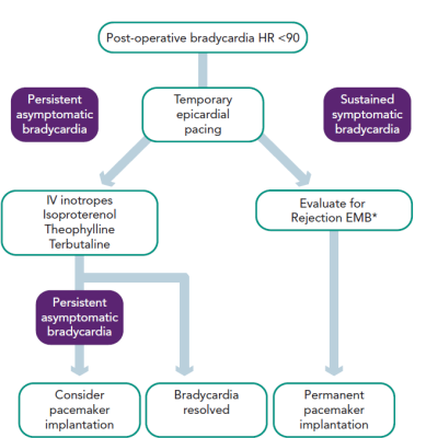 Figure 3 Management of Post-operative Bradycardia