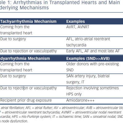 Arrhythmias in Transplanted Hearts and Main Underlying Mechanisms