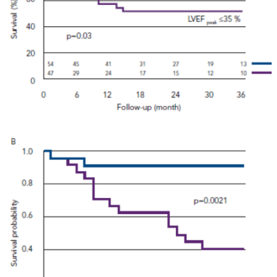 Figure 4 Survival Curves for Low-flow Low-gradient Aortic Stenosis Patients with Reduced Left Ventricular Ejection Fraction Based on A Dobutamine Stress Echocardiography Peak Left Ventricular Ejection Fraction ≤35 or &ampgt35  n101 and B Dobutamine Stress Echocardiography Peak Global Longitudinal Strain Rate ≤-0.5s&ampltsup&ampgt-1&amplt/sup&ampgt or &ampgt-0.5s&ampltsup&ampgt-1&amplt/sup&ampgt n47