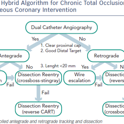 Figure 1 Hybrid Algorithm for Chronic Total Occlusion Percutaneous Coronary Intervention