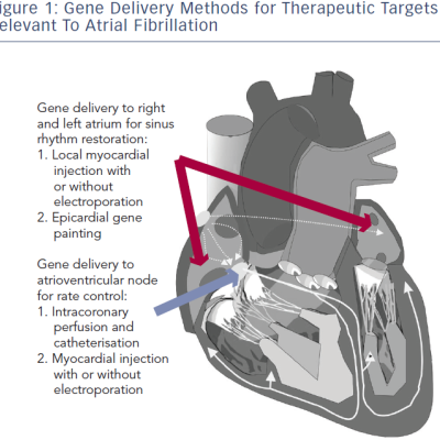Gene Therapy Targets and Strategies for Ablation of Atrial Fibrillation