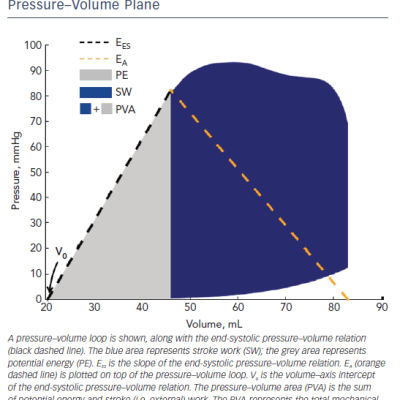 Figure 1 Analysis of Ventricular–Arterial Coupling in the Pressure–Volume Plane