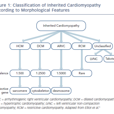 Figure 1 Classification of Inherited Cardiomyopathy According to Morphological Features