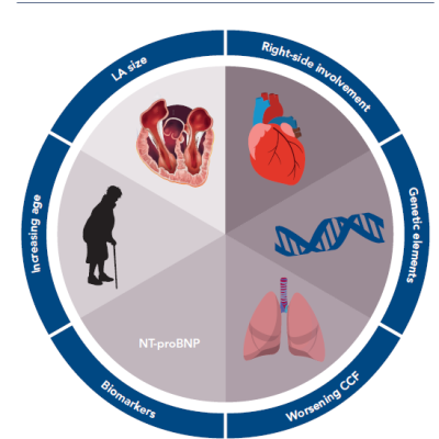 Figure 1 Key Risk Factors for the Development of Atrial Fibrillation in Patients with Hypertrophic Cardiomyopathy