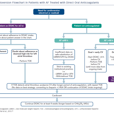 Figure 2 Cardioversion Flowchart in Patients with AF Treated with Direct Oral Anticoagulants