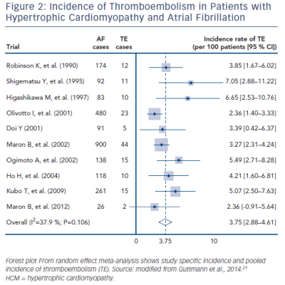 Figure 2 Incidence of Thromboembolism in Patients with Hypertrophic Cardiomyopathy and Atrial Fibrillation