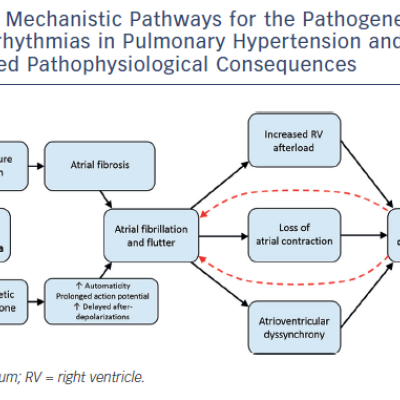 Figure 2 Mechanistic Pathways for the Pathogenesis of Atrial Arrhythmias in Pulmonary Hypertension and the Associated Pathophysiological Consequences