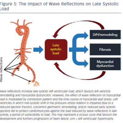 Figure 5 The Impact of Wave Reflections on Late Systolic Load